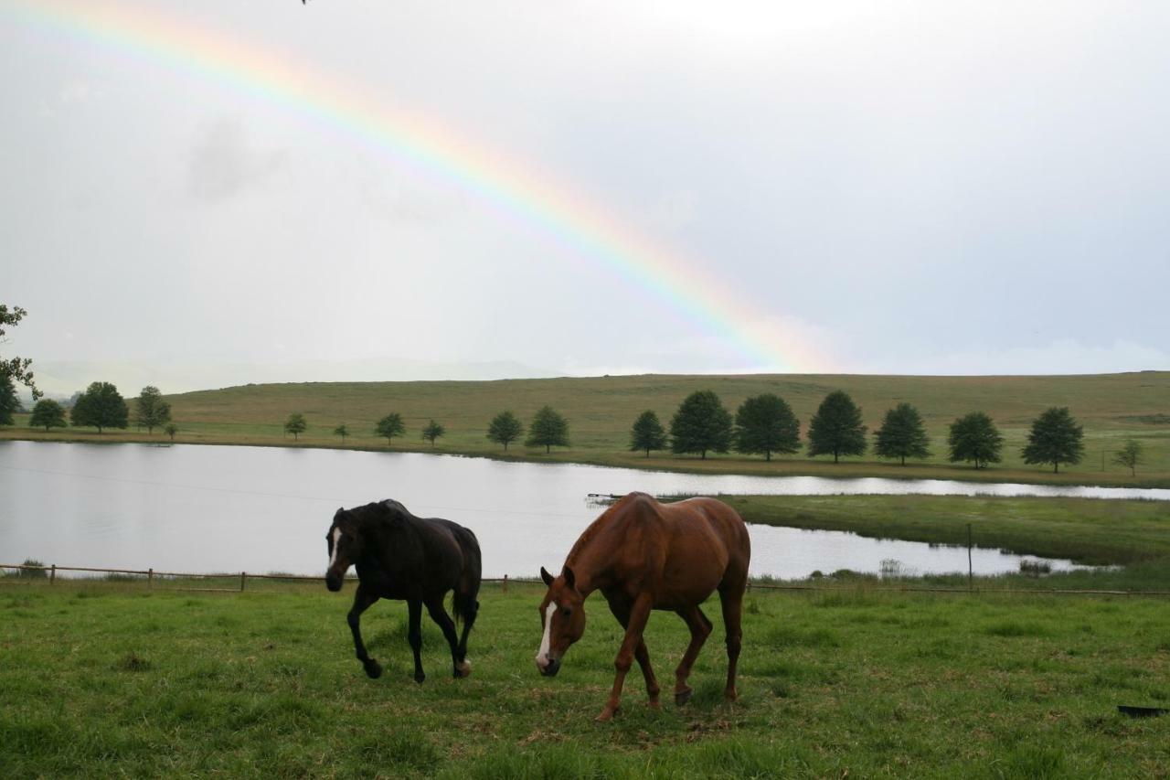 Sani Valley Nature Lodges 히머빌 외부 사진